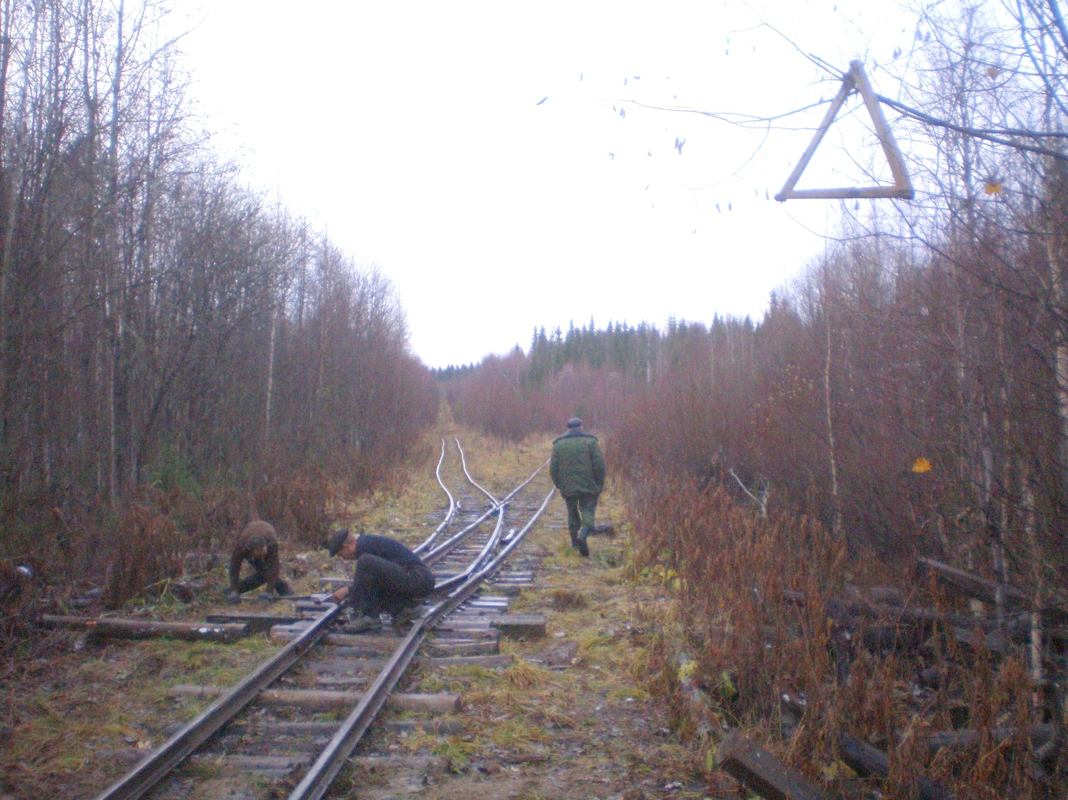 Пильвенская узкоколейная железная дорога  —  фотографии, сделанные в 2008 году (часть 27)