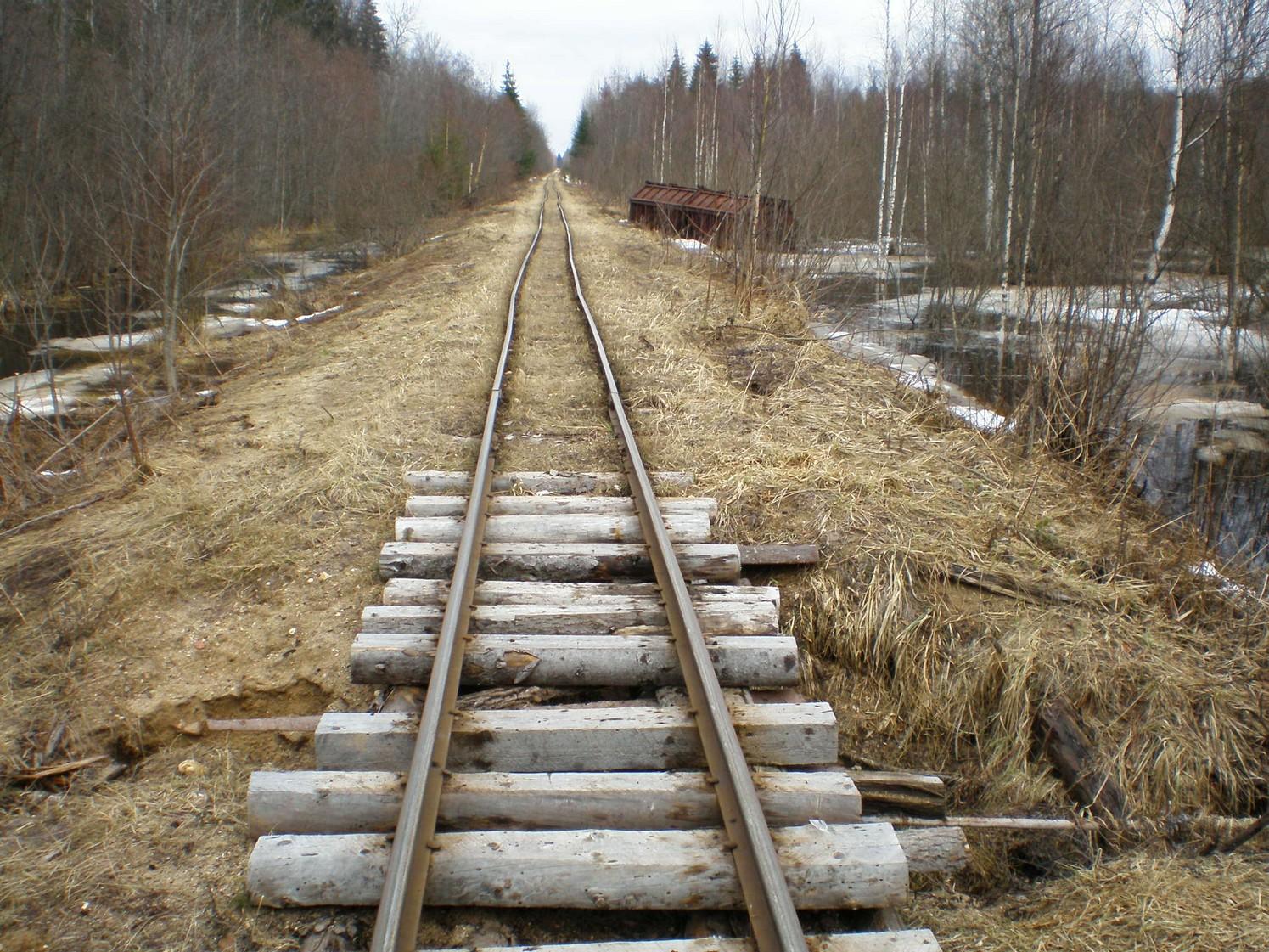 Узкоколейная железная дорога Ранцевского торфопредприятия  —  фотографии, сделанные в 2008 году (часть 8)