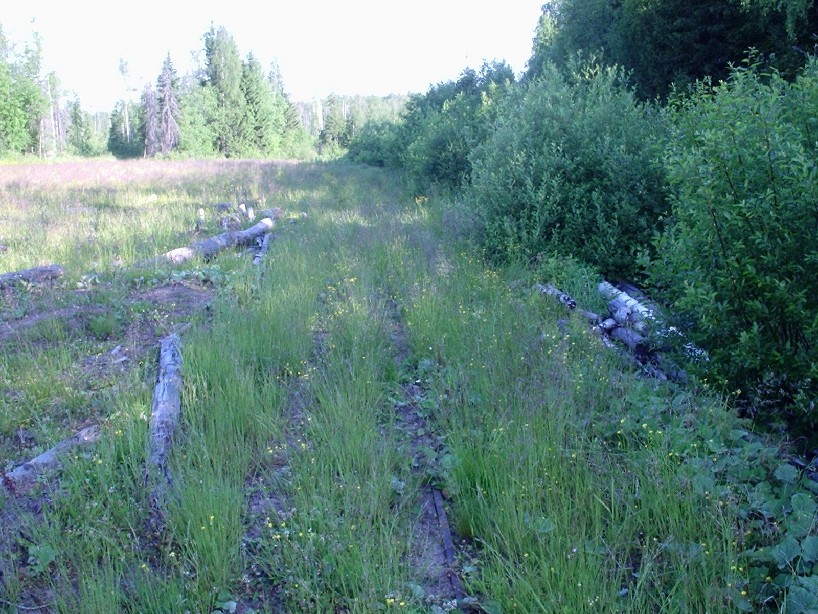 Сенгосская узкоколейная железная дорога — фотографии, сделанные в 2005 году (часть 2)