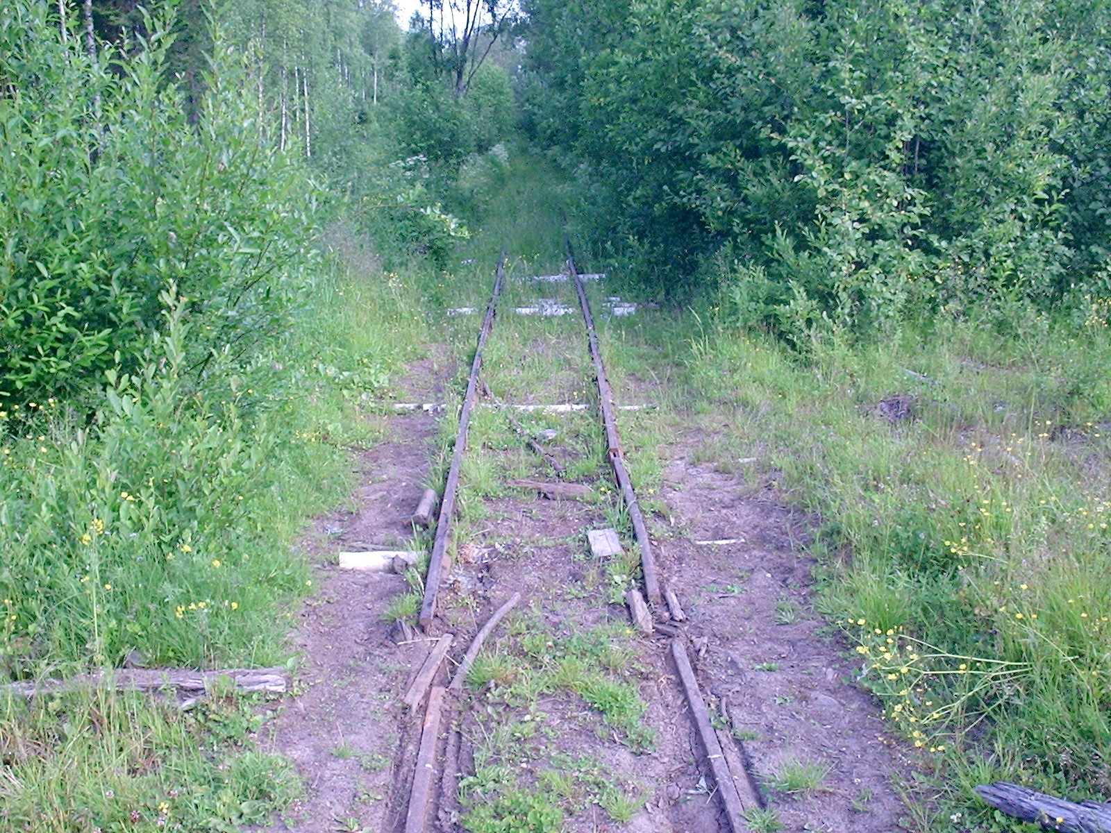 «Воинская»  узкоколейная железная дорога в Сенгосе — фотографии, сделанные в 2005 году