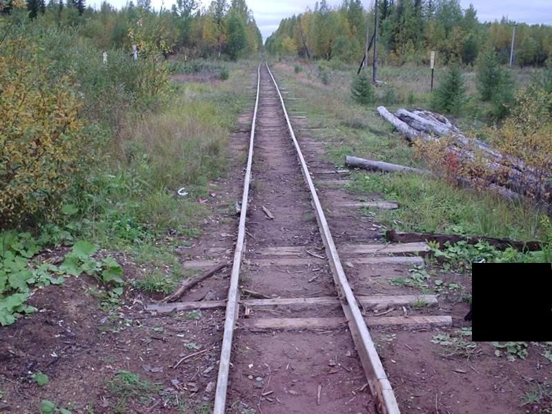 Синдорская узкоколейная железная дорога - фотографии (часть 1)