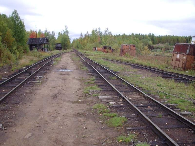 Синдорская узкоколейная железная дорога - фотографии (часть 2)