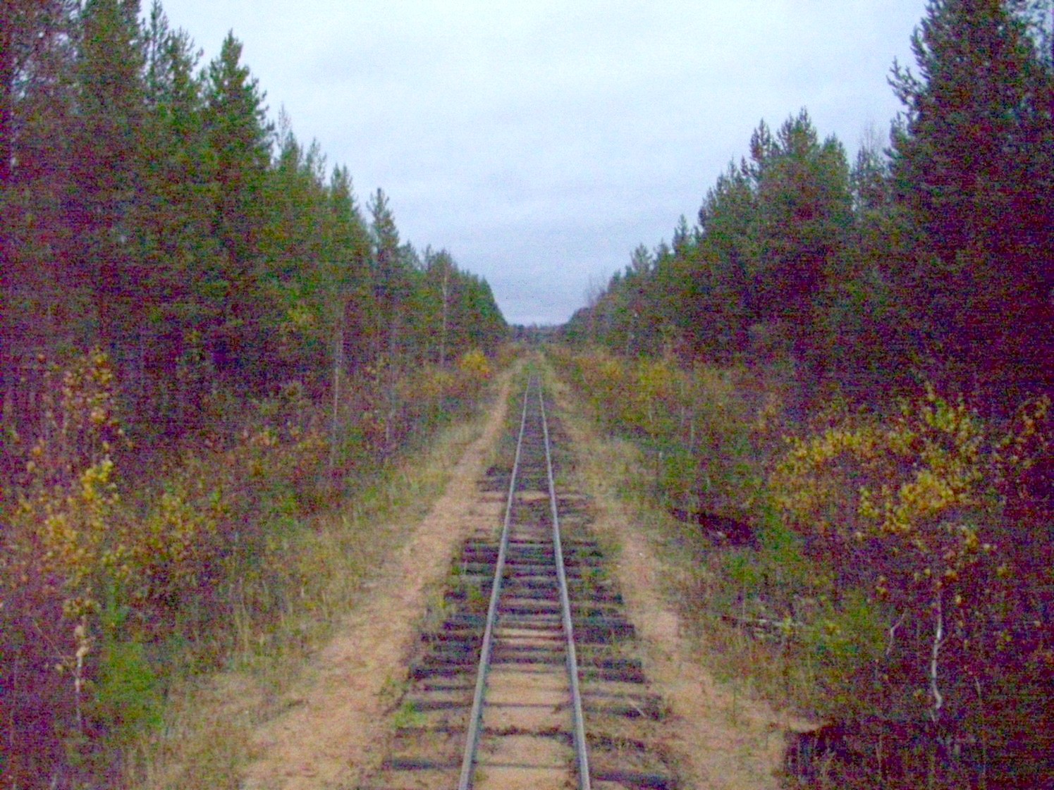 Чепецкая узкоколейная железная дорога  —  фотографии, сделанные в 2009 году (часть 9)