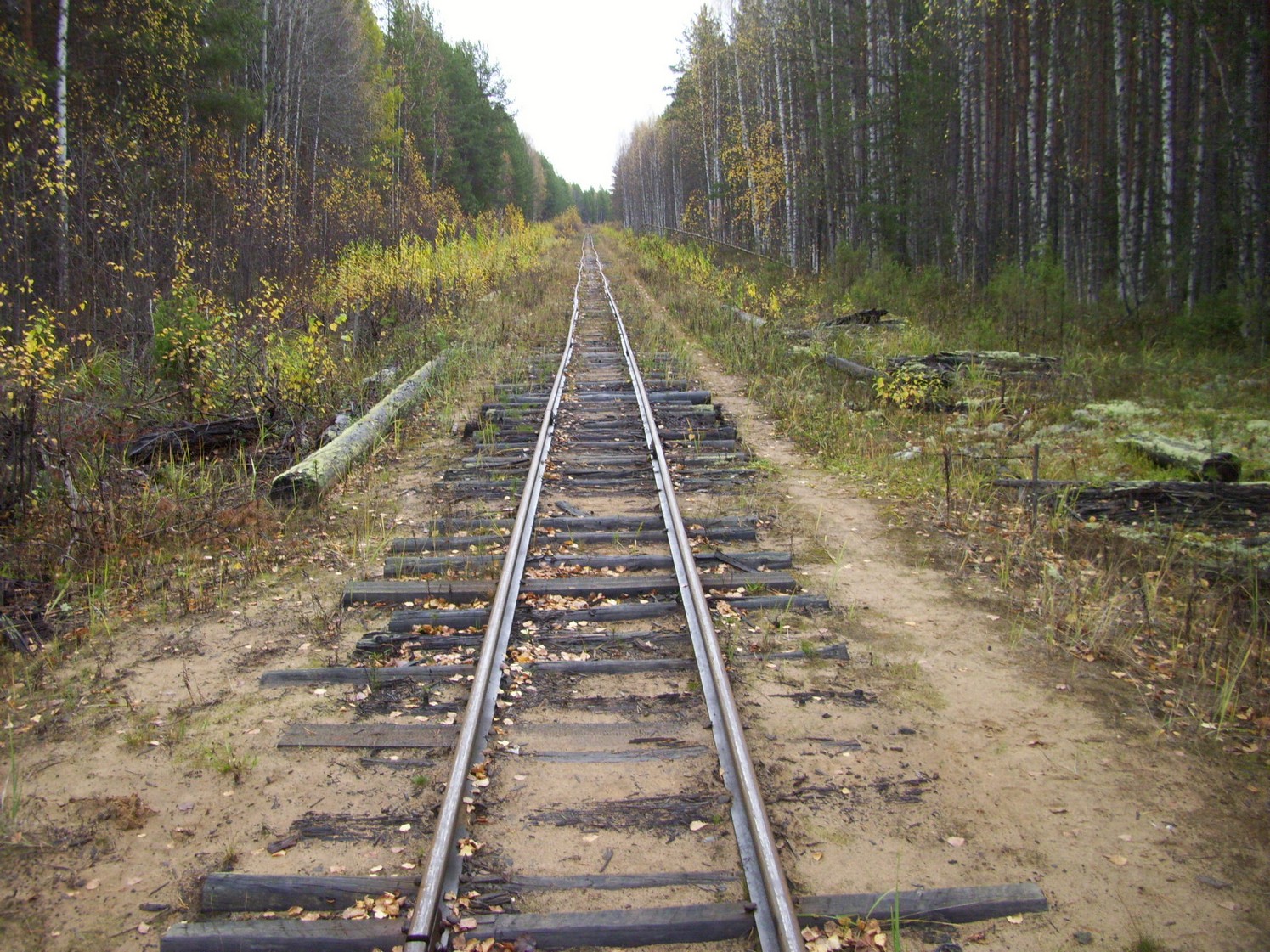 Чепецкая узкоколейная железная дорога  —  фотографии, сделанные в 2009 году (часть 14)