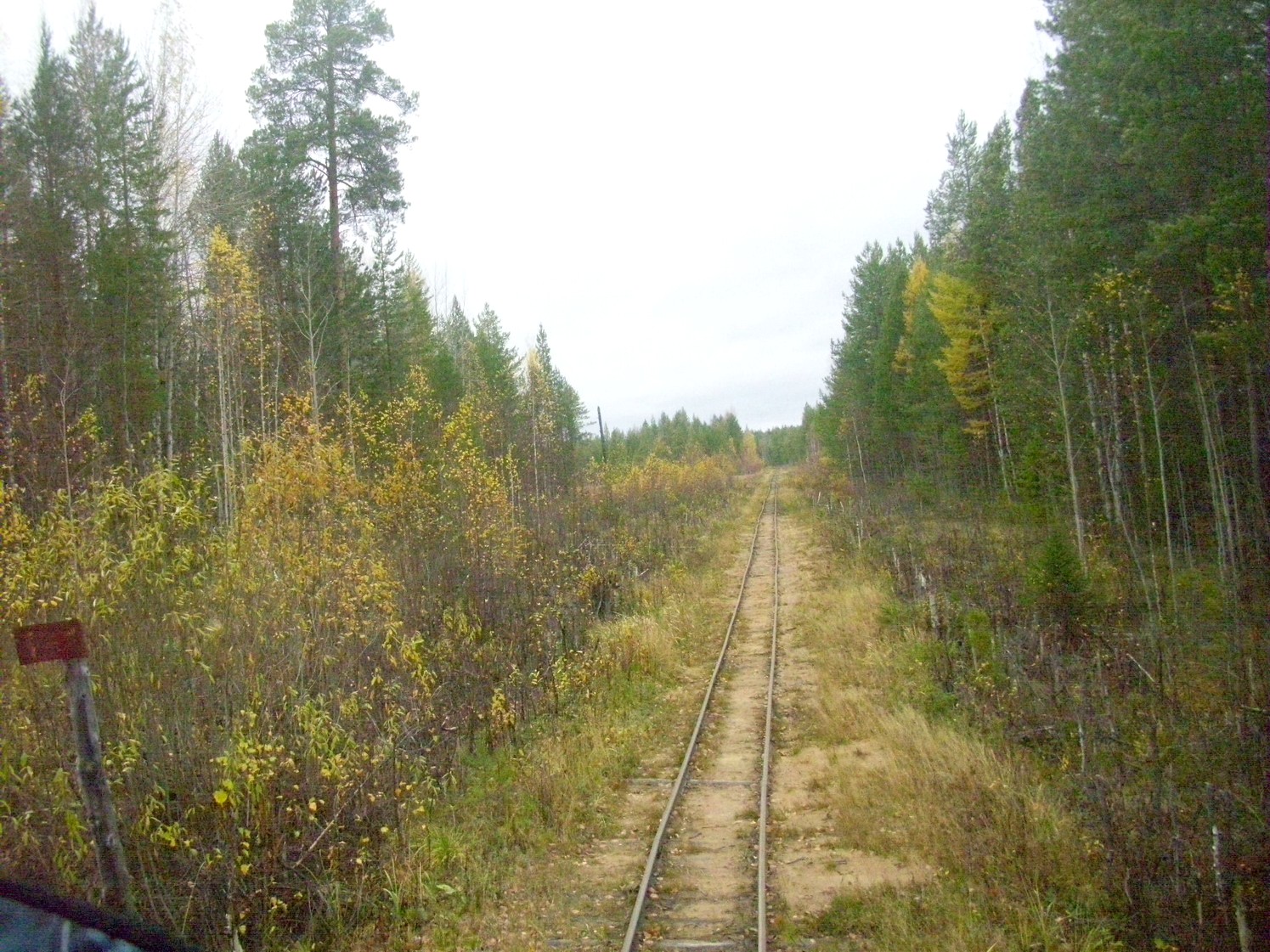 Чепецкая узкоколейная железная дорога  —  фотографии, сделанные в 2009 году (часть 18)