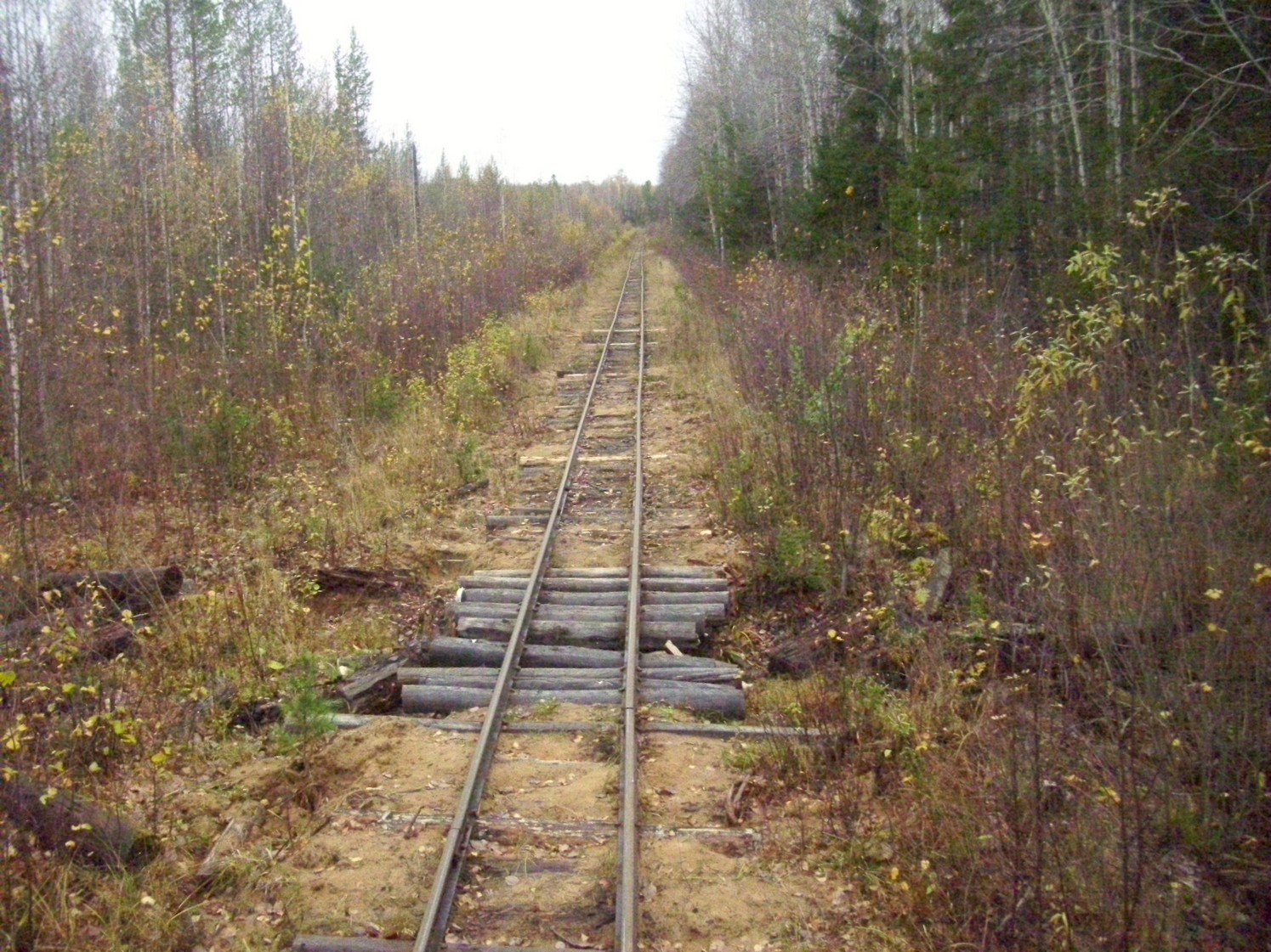 Чепецкая узкоколейная железная дорога  —  фотографии, сделанные в 2009 году (часть 19)