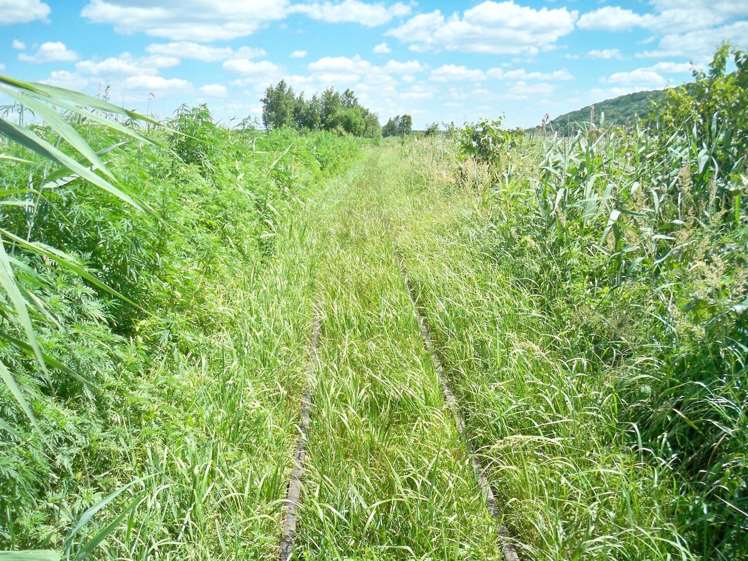 Узкоколейная железная дорога Ирдынского торфобрикетного завода
  —  фотографии, сделанные в 2013 году (часть 4)
