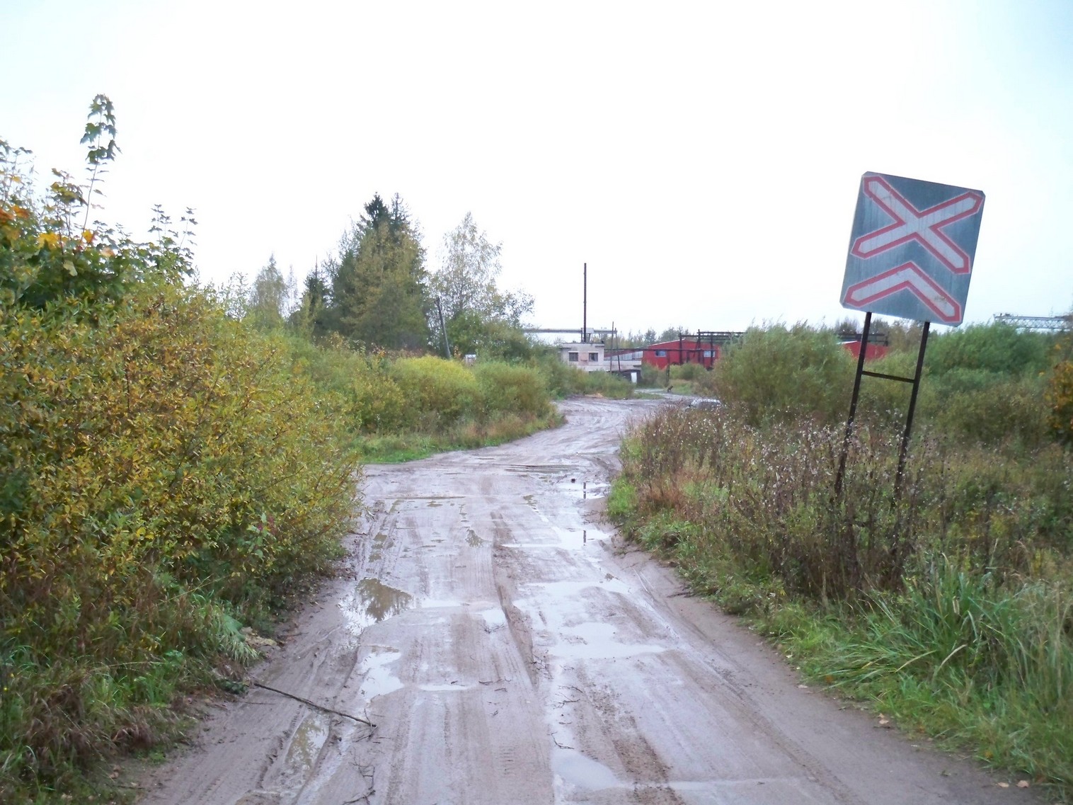 Нелидовская узкоколейная железная дорога 
  —  фотографии, сделанные в 2012 году (часть 1)