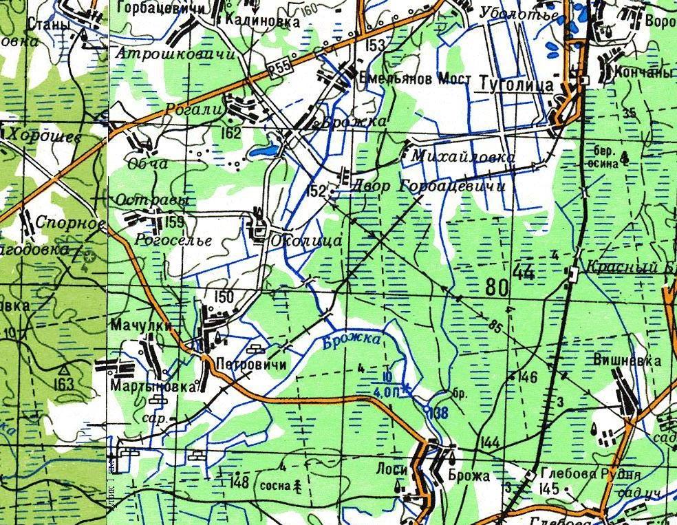 Узкоколейная железная дорога Туголицкого биохимического завода - схемы и топографические карты