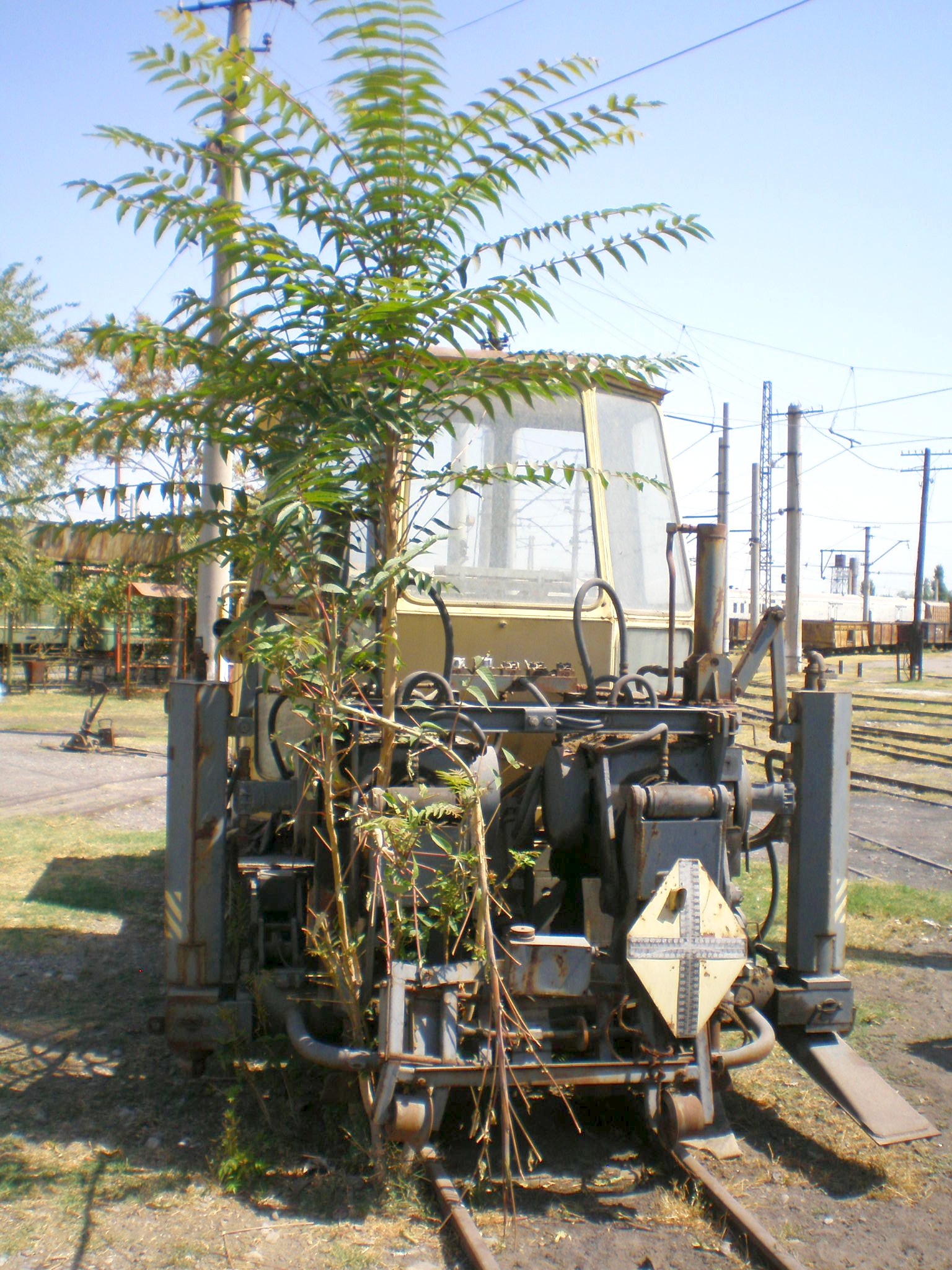 Сулюктинская узкоколейная железная дорога  —  фотографии, сделанные в 2008 году (часть 12)