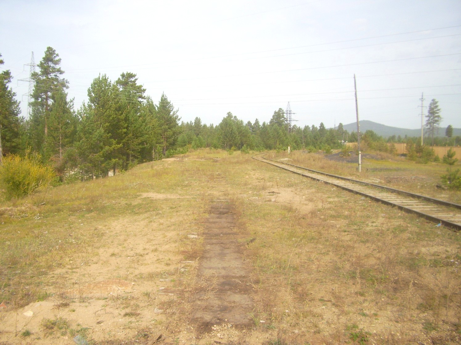 Хандагатайская узкоколейная железная дорога — фотографии, сделанные в 2009 году (часть 1)