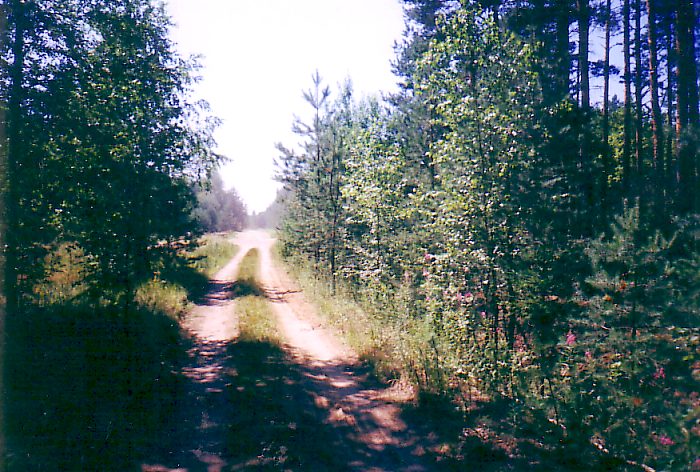 Узкоколейная железная дорога Руднянского торфопредприятия