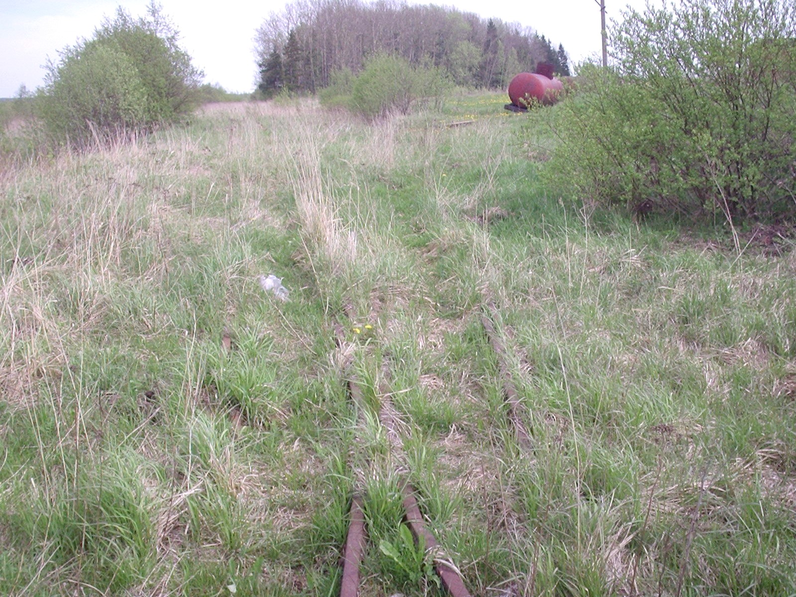 Узкоколейная железная дорога  торфопредприятия «Чистик»  —  фотографии, сделанные в 2007 году (часть 7)