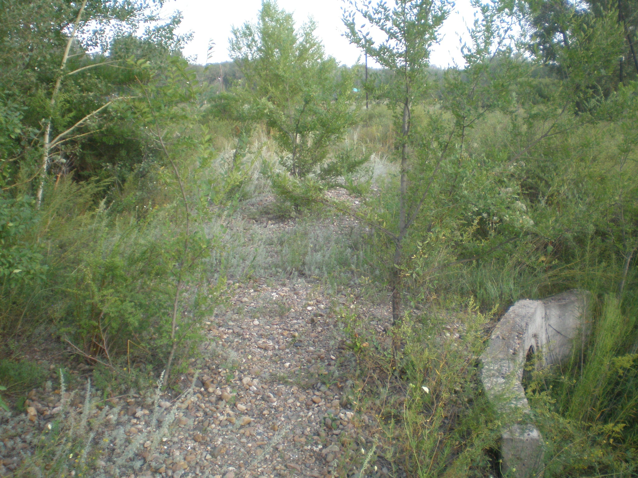 Семипалатинская детская железная дорога  —  фотографии, сделанные в 2009 году (часть 2)