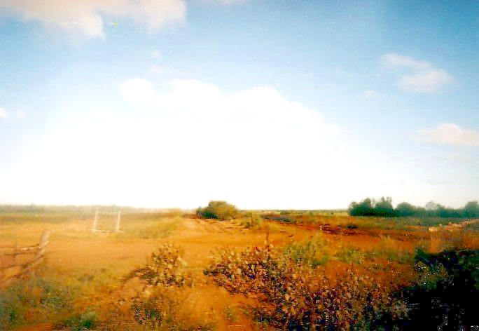 Узкоколейная железная дорога Арбанского торфопредприятия