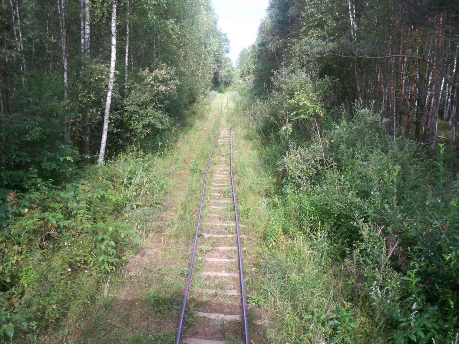 Узкоколейная железная дорога торфопредприятия имени Даумана
  —  фотографии, сделанные в 2013 году (часть 3)