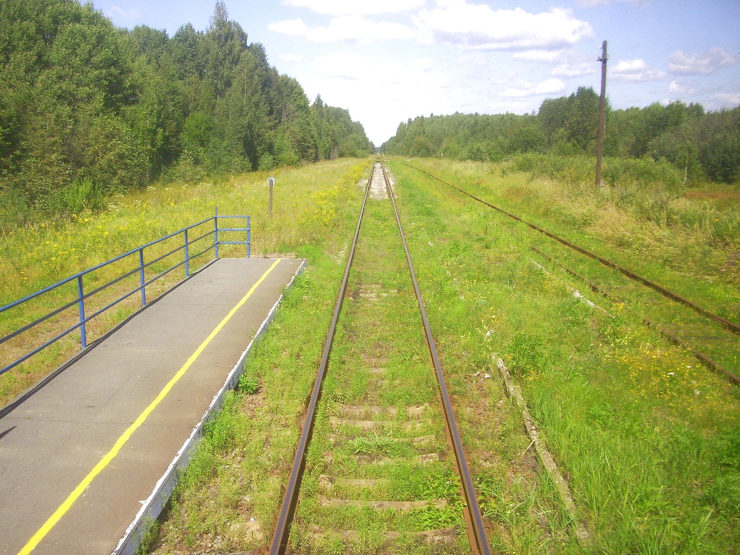 Железнодорожная линия Сухобезводное  —  Лапшанга
  —  фотографии, сделанные в 2012 году (часть 5)