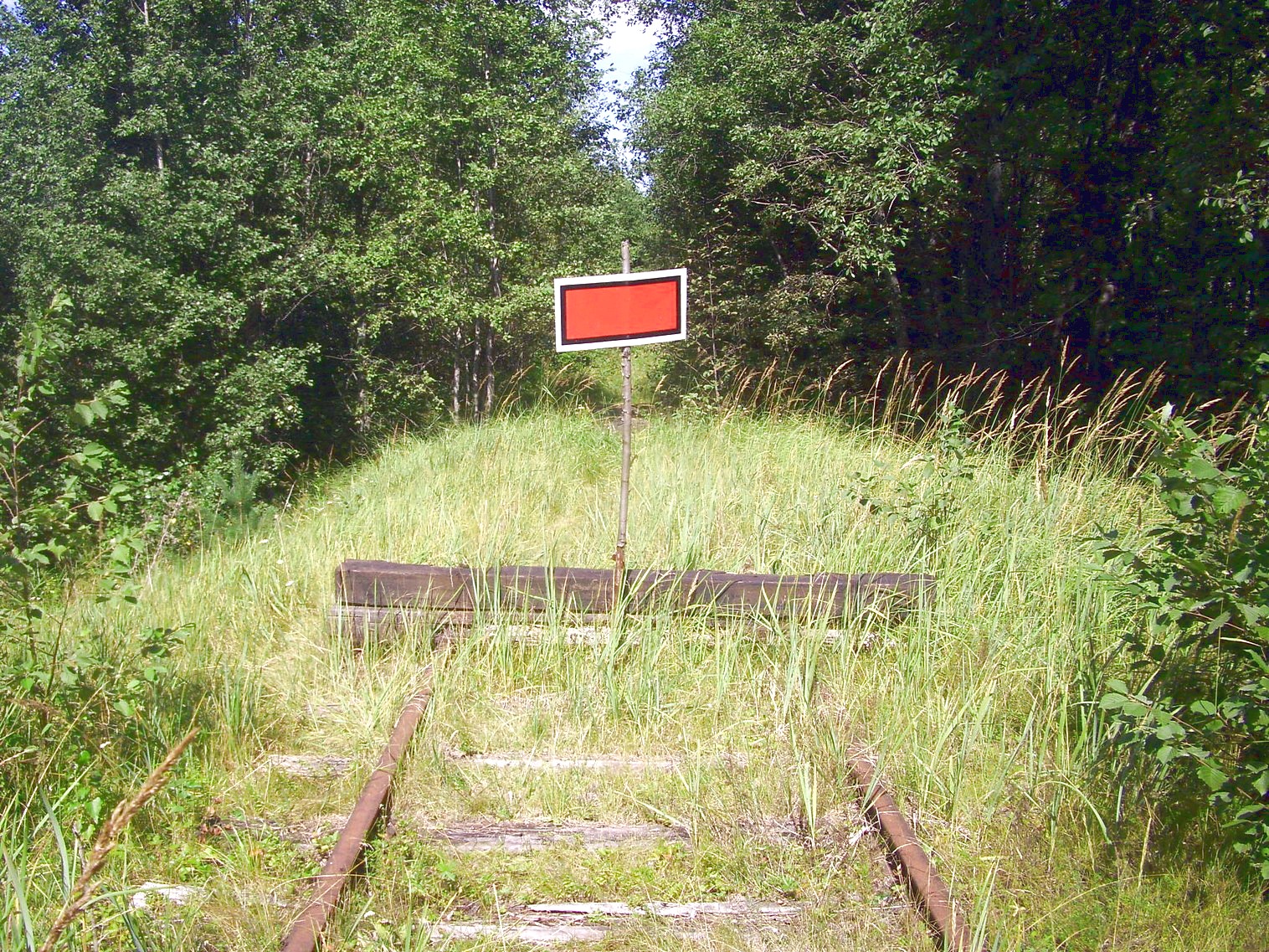 Железнодорожная линия Сухобезводное  —  Лапшанга
  —  фотографии, сделанные в 2012 году (часть 3)