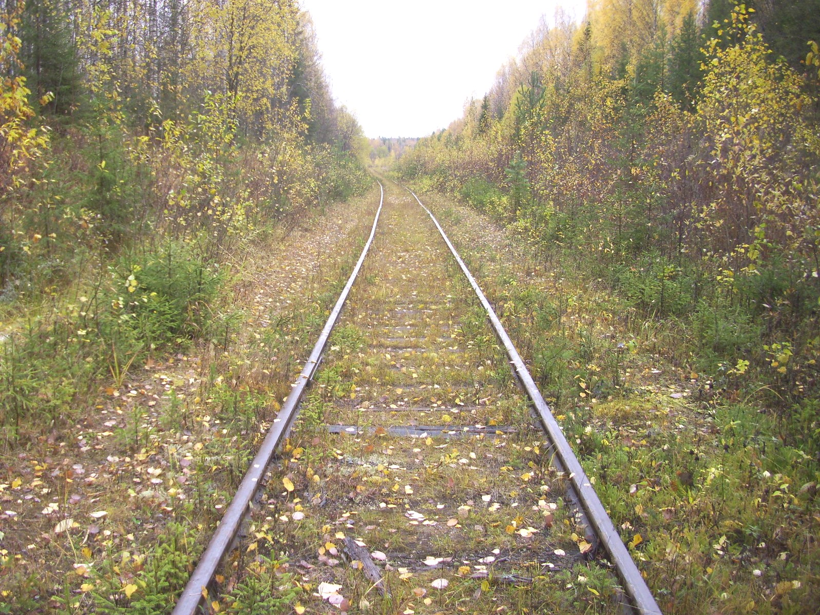 Гайно-Кайская железная дорога — фотографии, сделанные в 2011 году (часть 15)