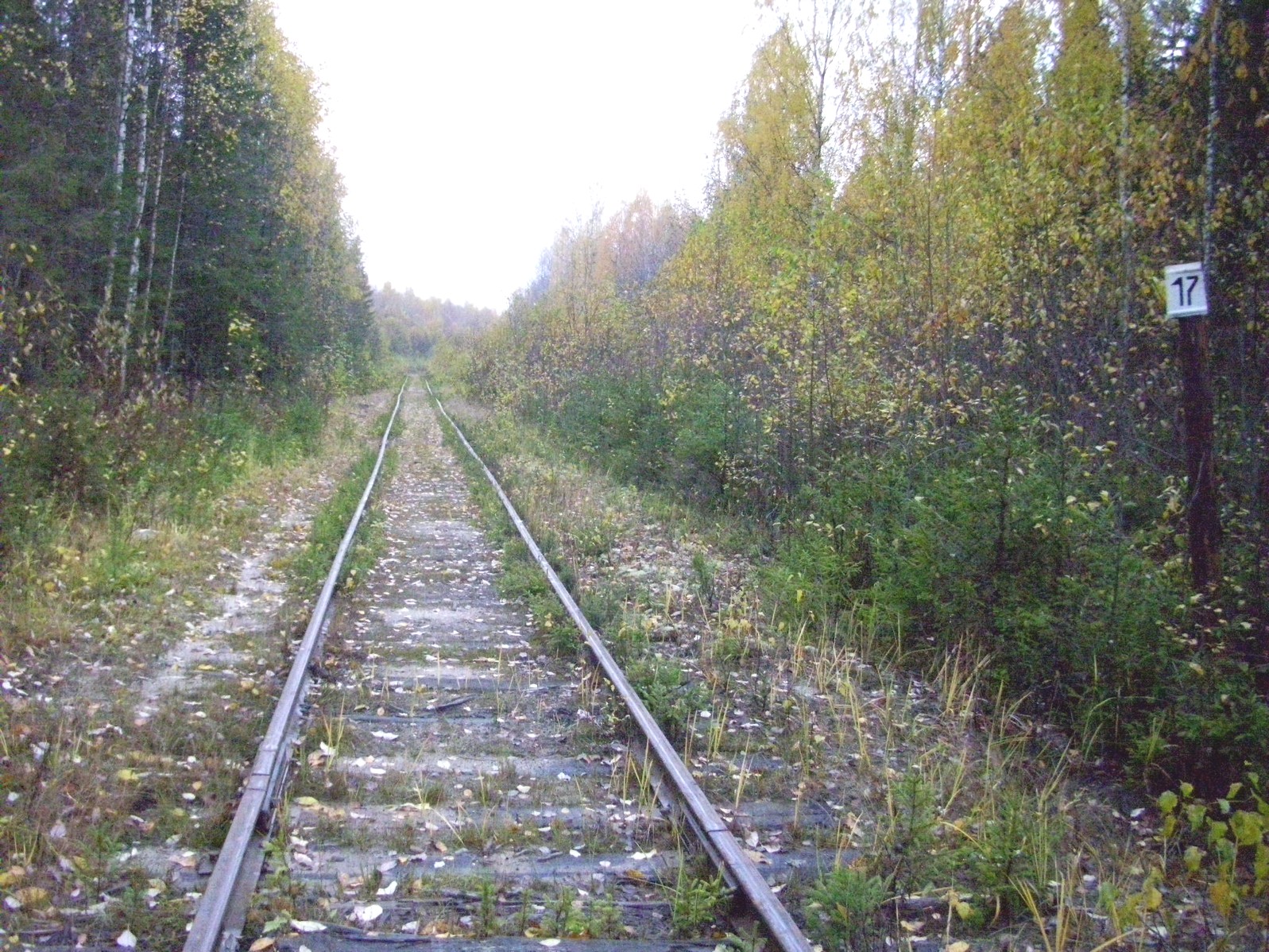 Гайно-Кайская железная дорога — фотографии, сделанные в 2011 году (часть 17)