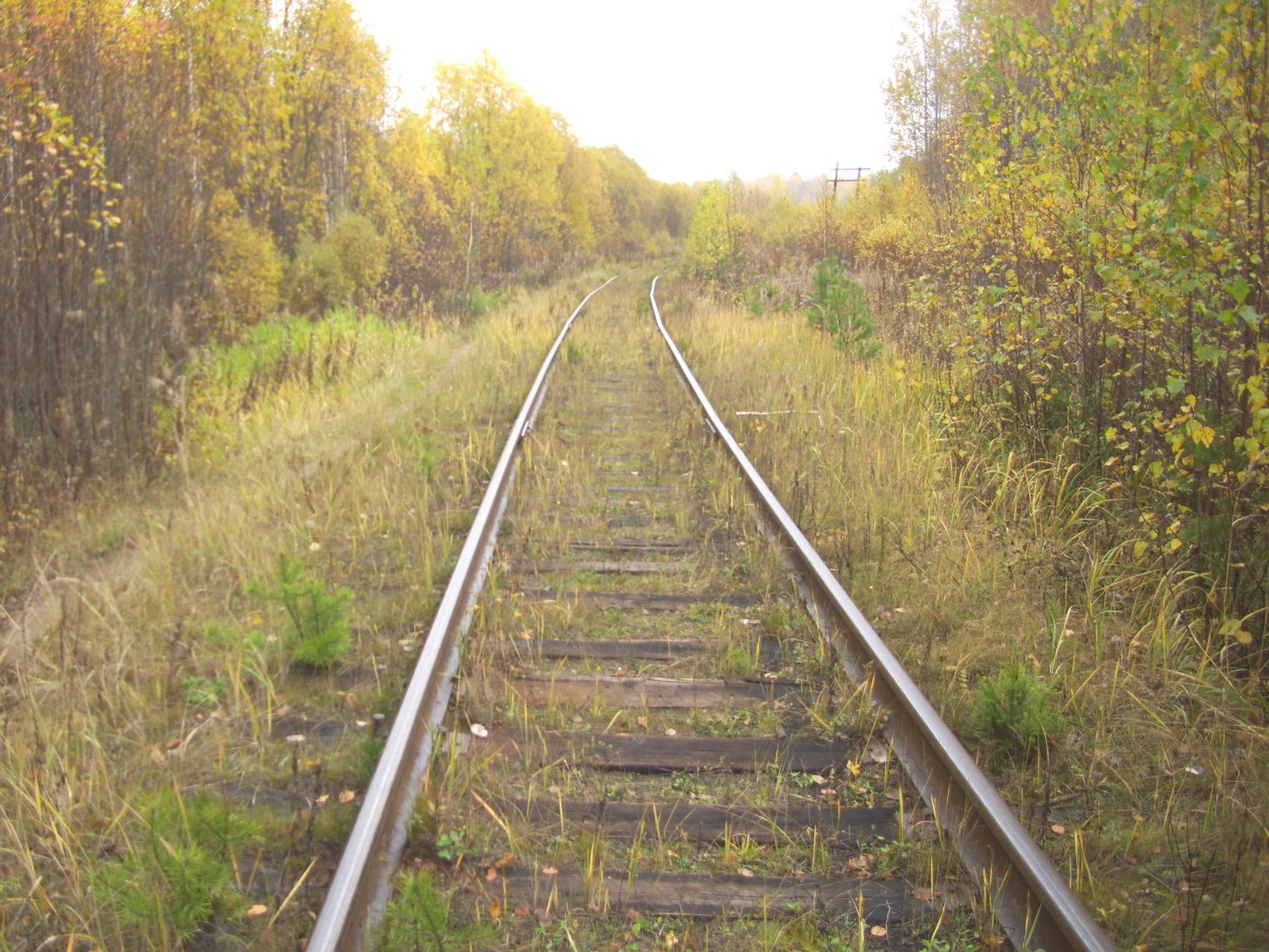 Гайно-Кайская железная дорога — фотографии, сделанные в 2011 году (часть 3)