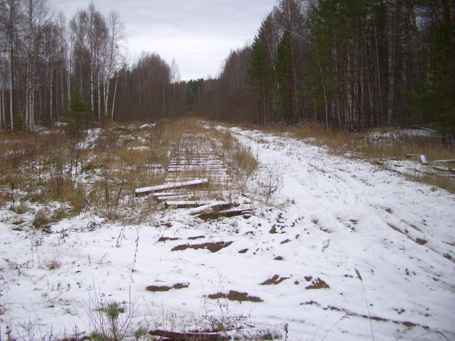 Узкоколейная железная дорога Орловского торфопредприятия   —  фотографии, сделанные в 2009 году (часть 7)