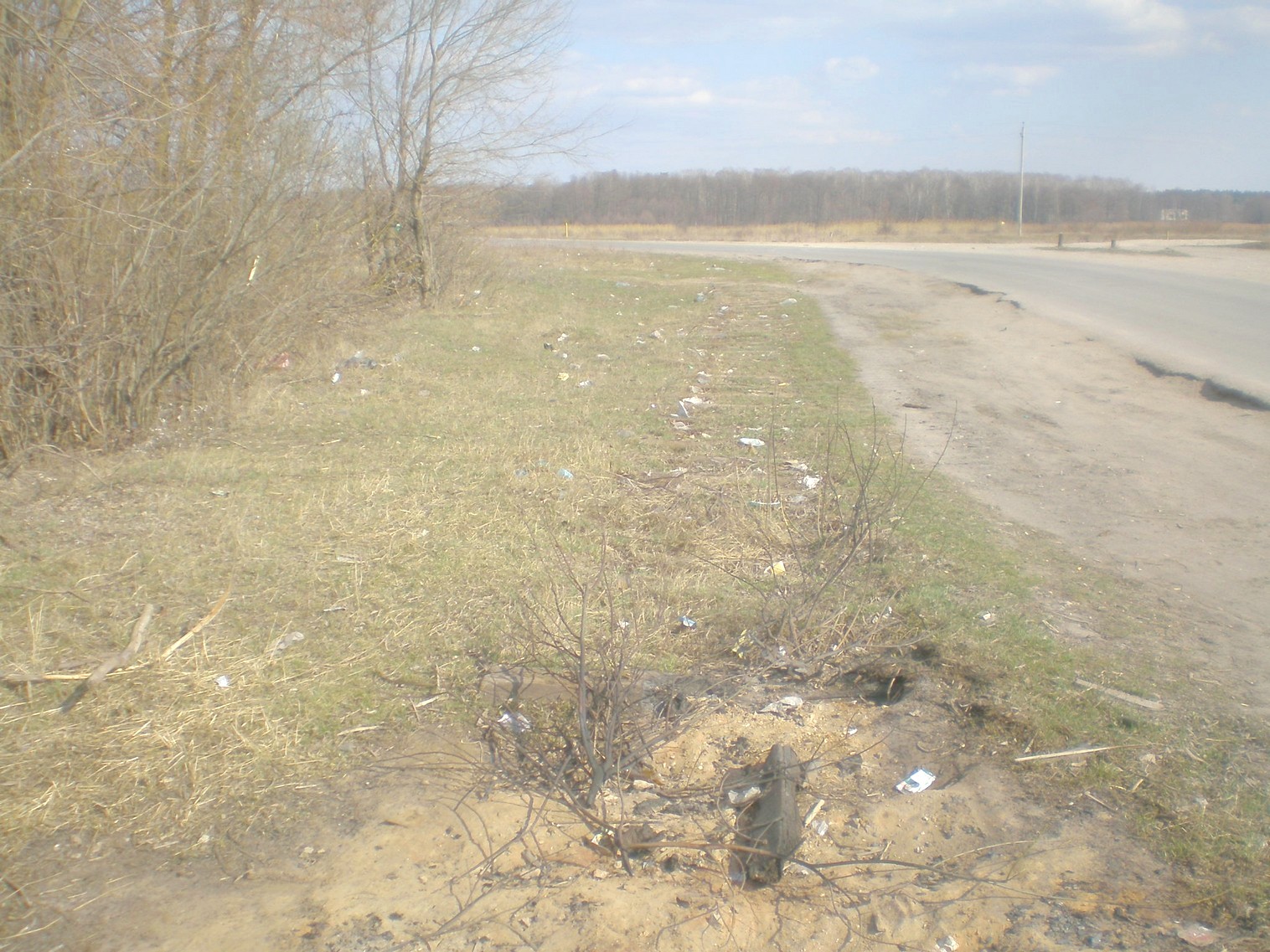 Узкоколейная железная дорога Рамонского сахарного комбината — фотографии, сделанные в 2009 году (часть 2)