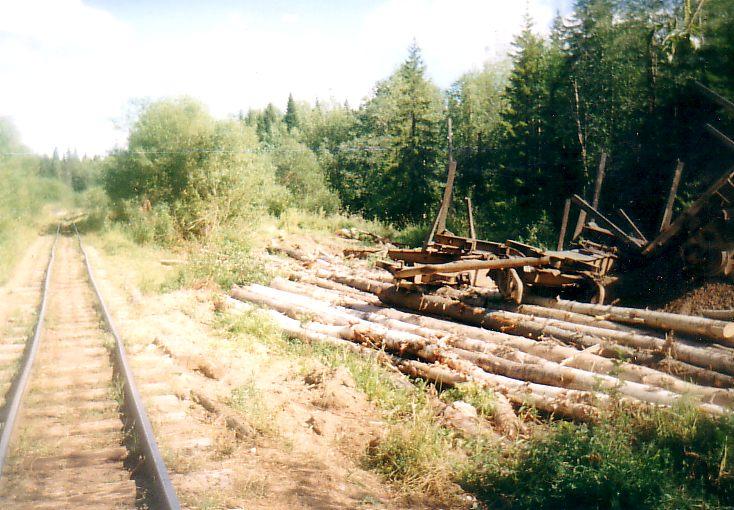 Залазнинская узкоколейная железная дорога