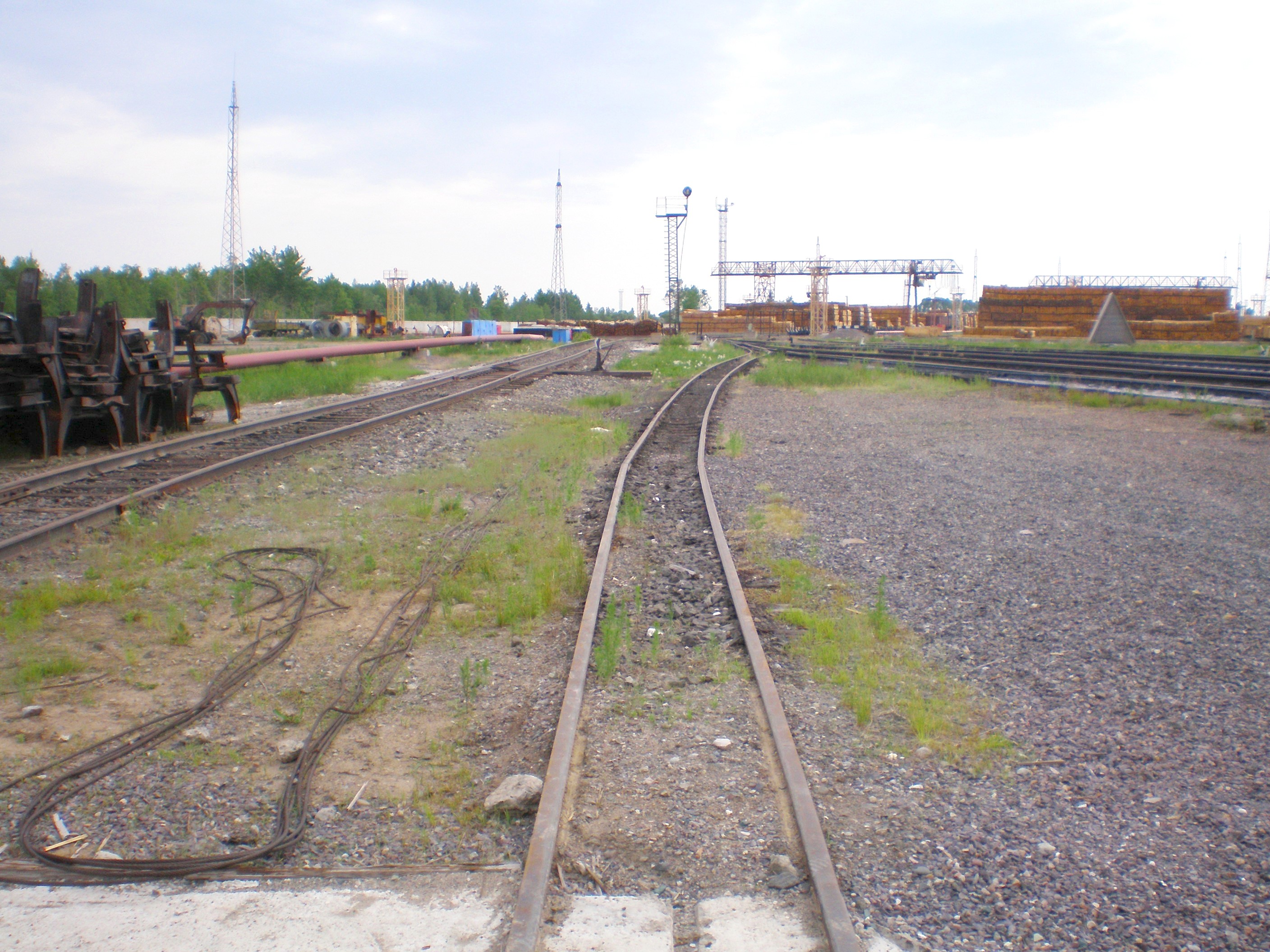 Узкоколейная железная дорога Аурского шпалопропиточного завода  — фотографии, сделанные в 2008 году (часть 1)