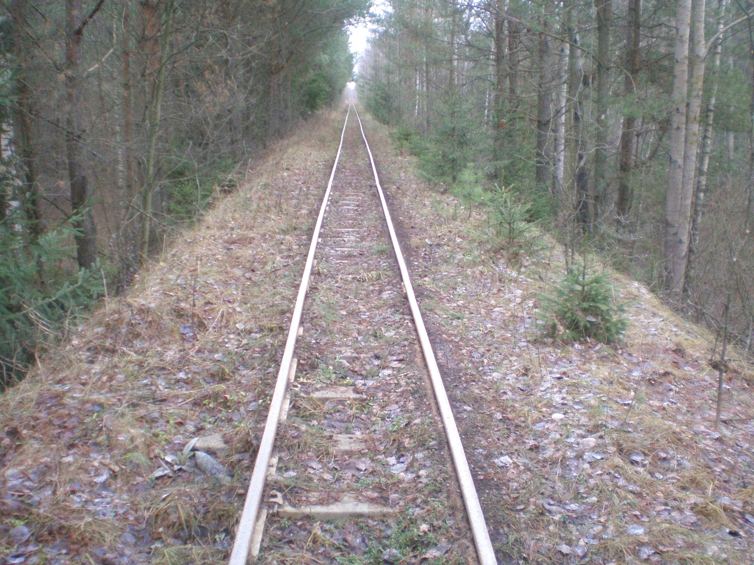 Узкоколейная  железная дорога  Слуцкого торфопредприятия   —  фотографии, сделанные в 2008 году (часть 9)