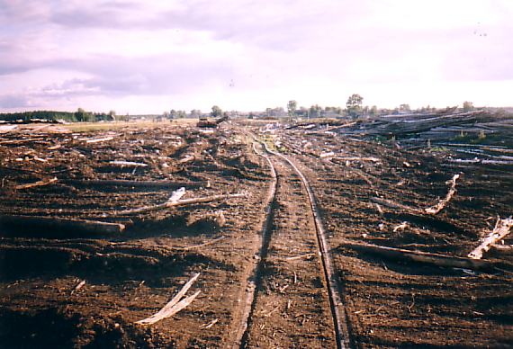 Христофоровская узкоколейная железная дорога  —  фотографии, сделанные в 2004 году