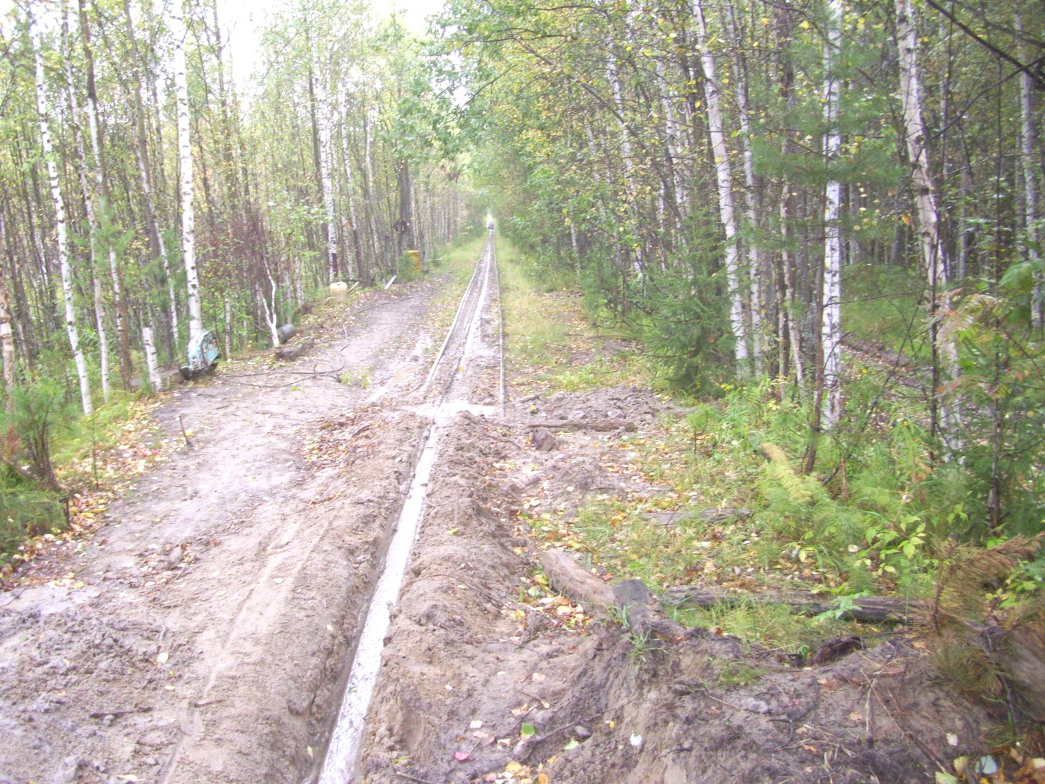 Комсомольская узкоколейная железная дорога
  —  фотографии, сделанные в 2010 году (часть 5)