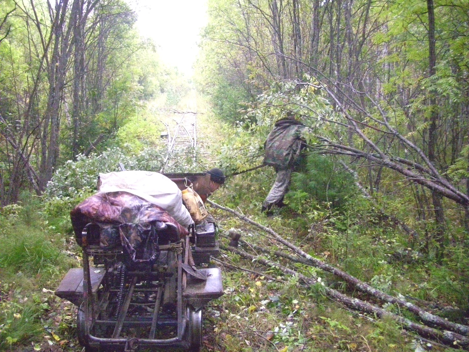 Комсомольская узкоколейная железная дорога
  —  фотографии, сделанные в 2010 году (часть 3)