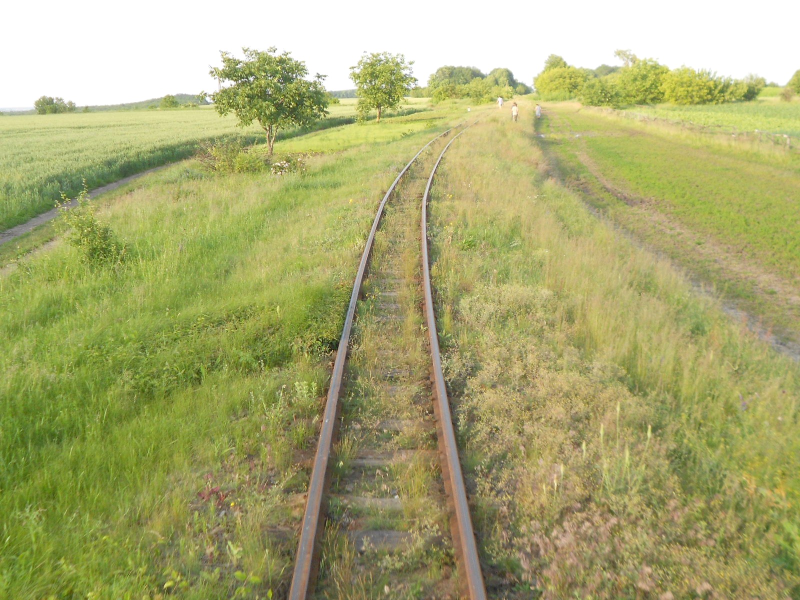 Узкоколейная железная дорога Гайворонского отделения Одесской железной дороги — фотографии, сделанные в 2016 году (часть 18)