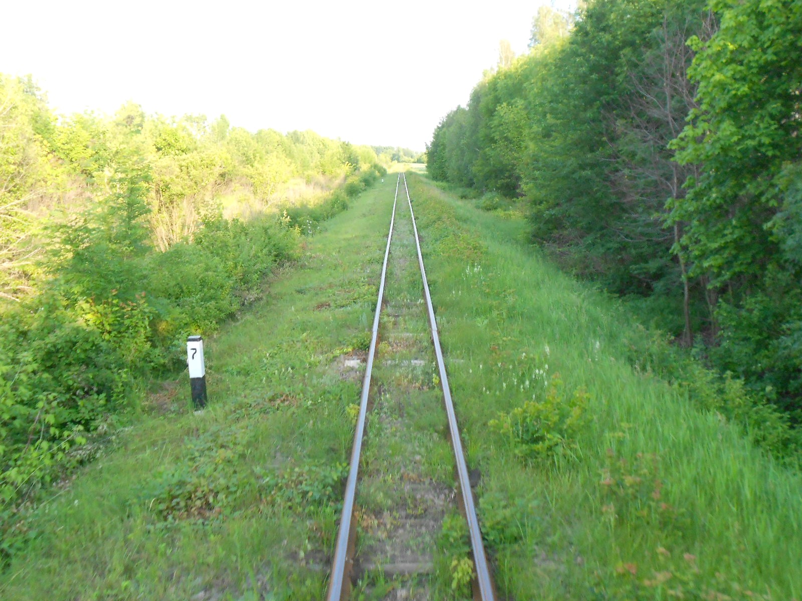 Узкоколейная железная дорога Гайворонского отделения Одесской железной дороги — фотографии, сделанные в 2016 году (часть 19)