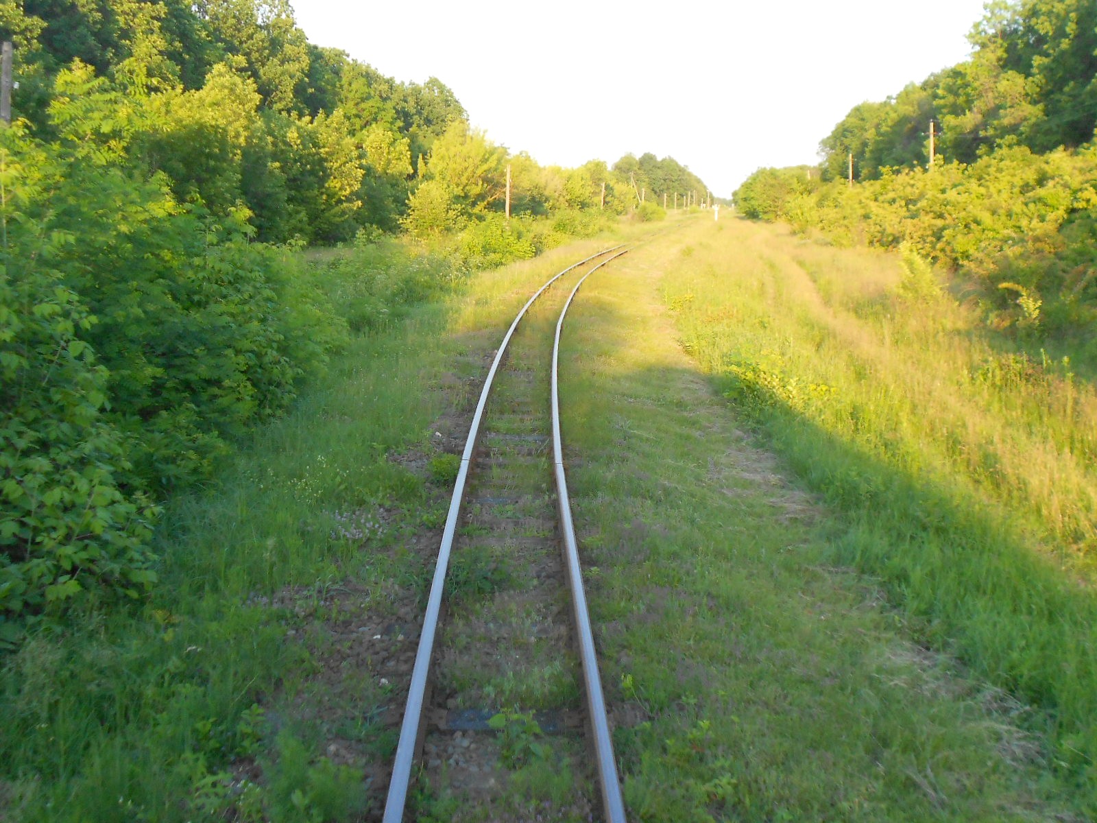 Узкоколейная железная дорога Гайворонского отделения Одесской железной дороги — фотографии, сделанные в 2016 году (часть 20)