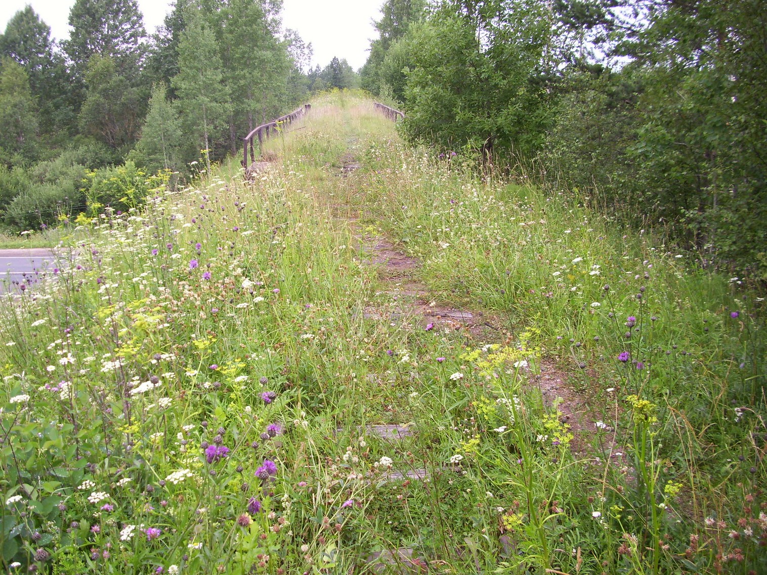 Узкоколейная железная дорога Заплюсского торфопредприятия — фотографии, сделанные в 2010 году (часть 9)