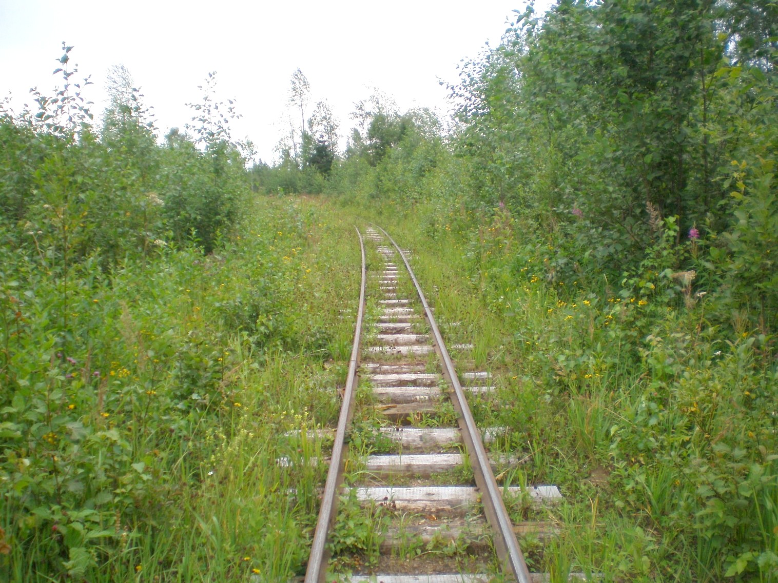 Митинская узкоколейная железная дорога 
  —  фотографии, сделанные в 2008 году (часть 12)