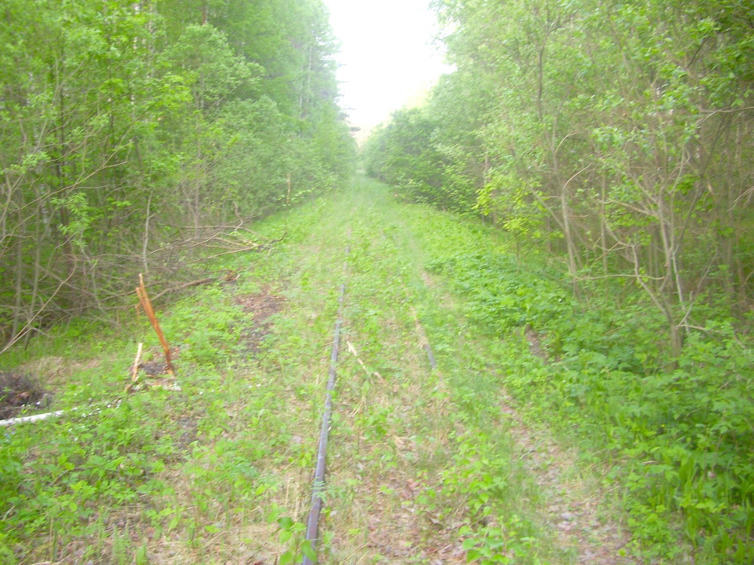 Узкоколейная железная дорога Никольского стекольного завода 
  —  фотографии, сделанные в 2010 году (часть 10)
