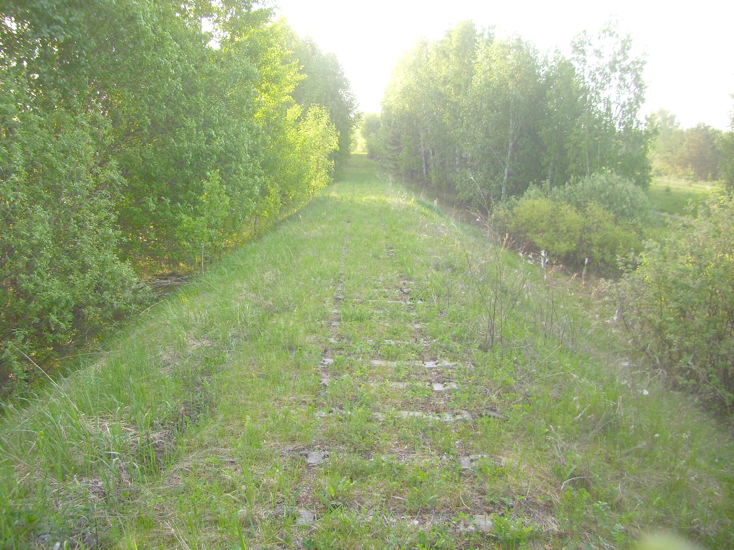 Узкоколейная железная дорога Никольского стекольного завода 
  —  фотографии, сделанные в 2010 году (часть 4)