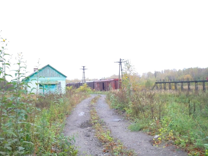 Поездки в Радовицкий Мох и Приозёрный, октябрь 2012 года