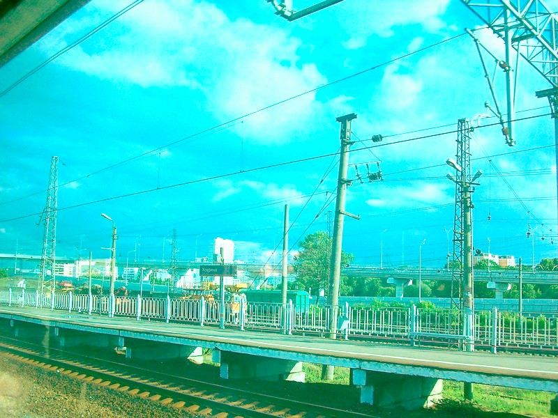 Поездка Санкт-Петербург — Невская Дубровка — Луга  —  Новгород, июнь 2015 года