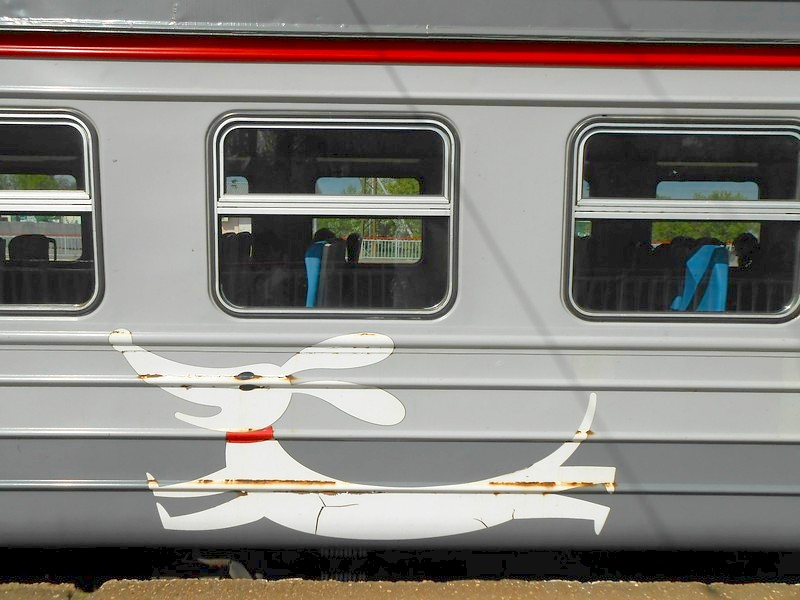 Поездки на места варварского беспредела  в Ивановской области, 2019 год