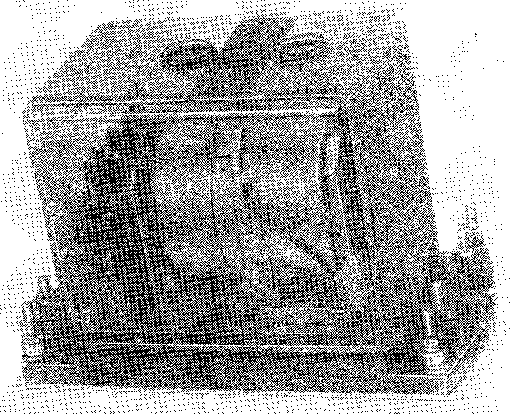 ��������� ����