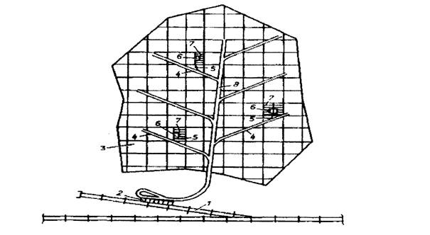 ��������: ���