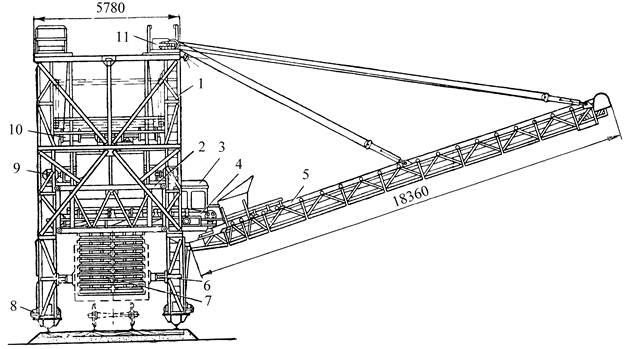 ��������: ���