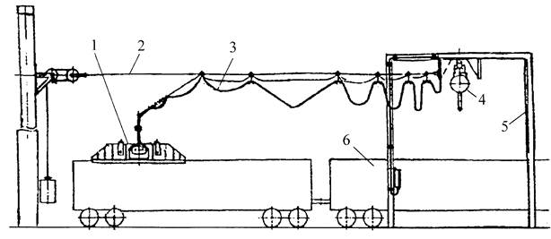 ��������: ���