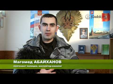 ��������� ����� ������ ����������