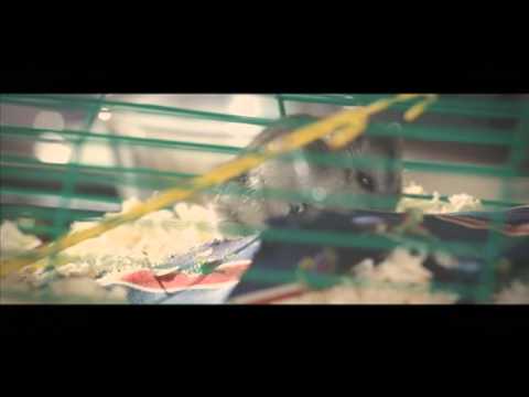 ������, � ����� ����. ������������