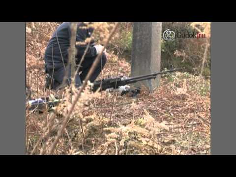 ��������� ��������� �� ����������